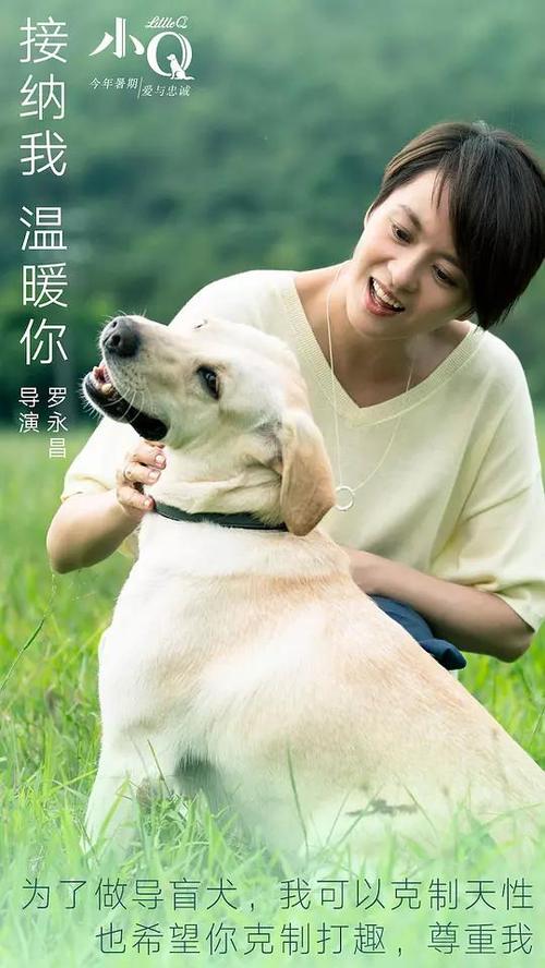 银行转账支票真实样板